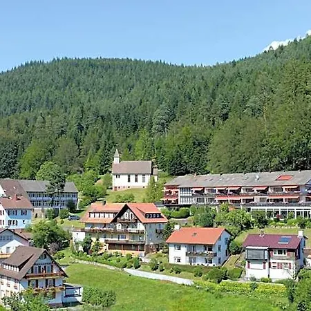 Waldlust Otel Baiersbronn