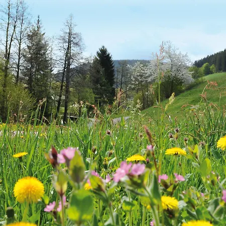 Waldlust Otel Baiersbronn