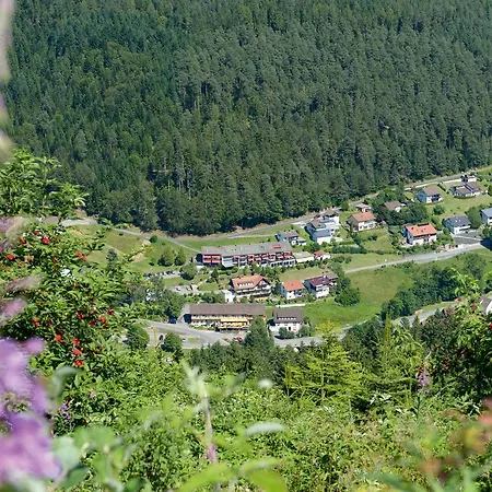 Otel Waldlust 3*