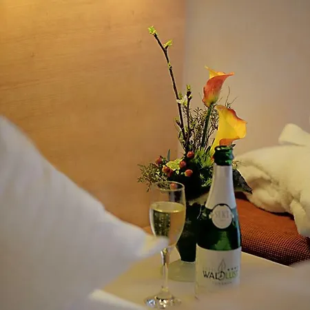 Otel Waldlust 3*