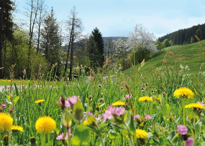 Waldlust Hotell Baiersbronn